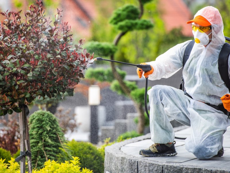 Aziziye Haşere İlaçlama